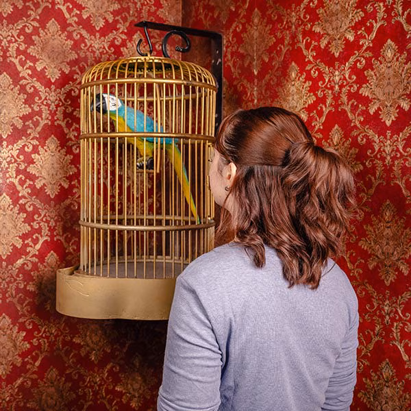 Escape Room - Blackbeard's Treasure - Preview Image 4