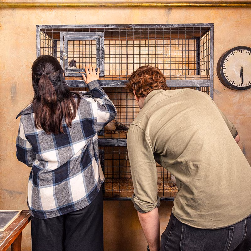 Escape Room - Our Finest Hour - Preview Image 1