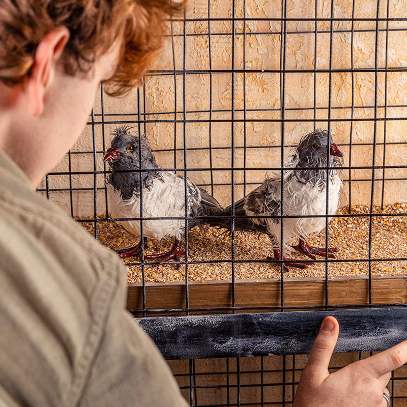 Escape Room - Our Finest Hour - Preview Image 4